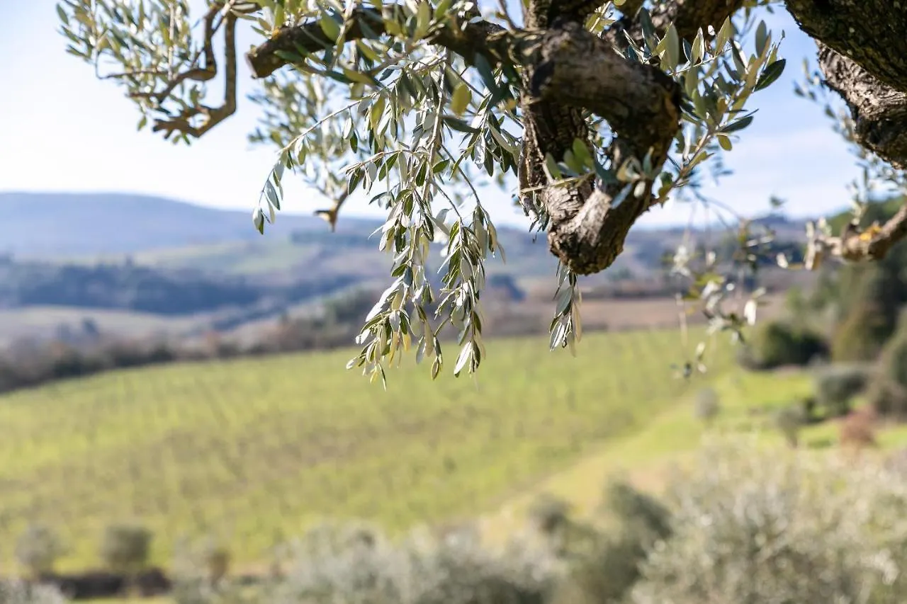 Il Castro Luxury Apartments San Gimignano